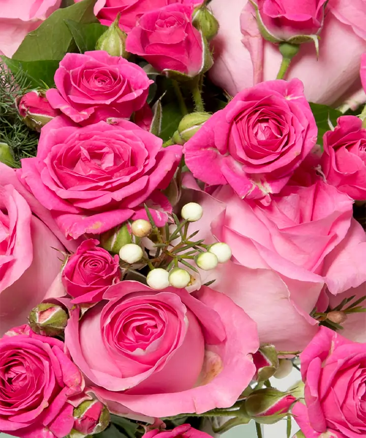 Bouquet di roselline rosa dettagli